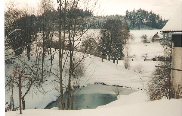 rybníček v zimě
