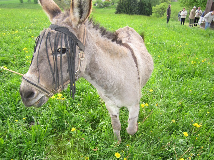 Jarmilka je připravena dočistit drobné chyby.