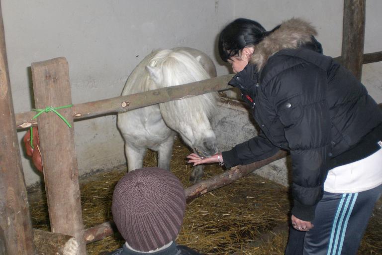 ponik Valda,Tom a Ilca a jeste jina zviratka 013