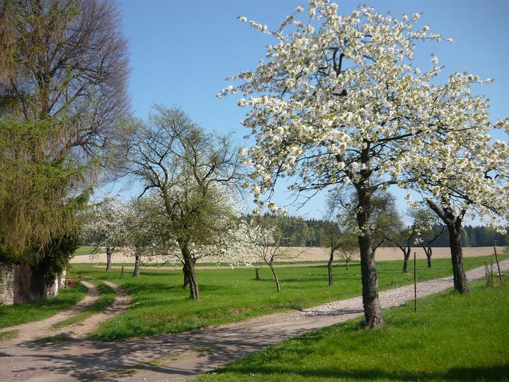 cesta na Končiny