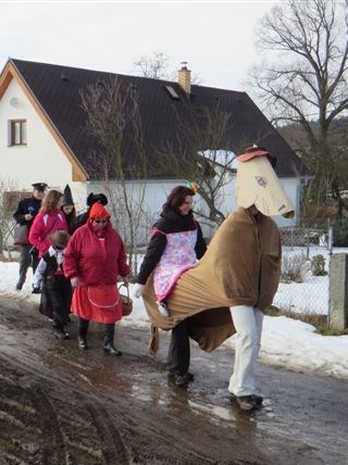 Konciny 15.2.2015-ostatky 007